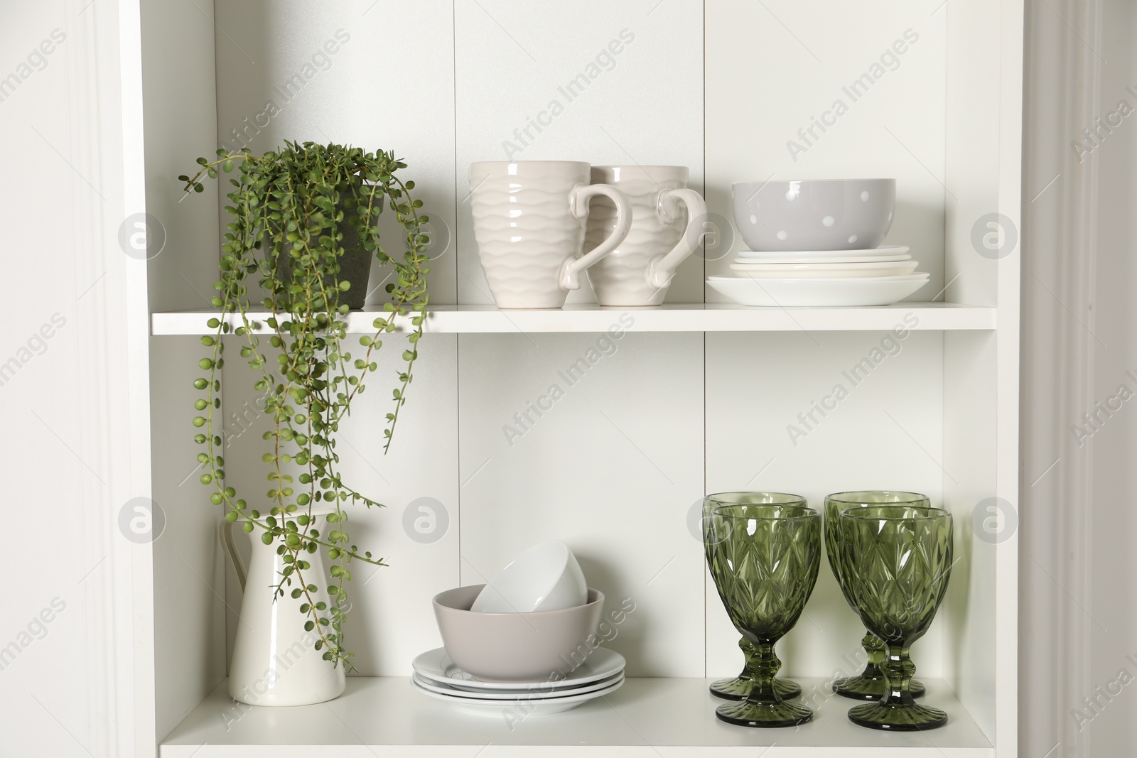 Photo of Different clean dishware and houseplant on shelves in cabinet indoors