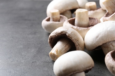 Photo of Fresh champignon mushrooms on grey background, closeup. Space for text