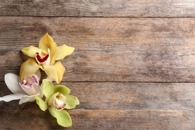 Photo of Beautiful tropical orchid flowers on wooden background, flat lay. Space for text