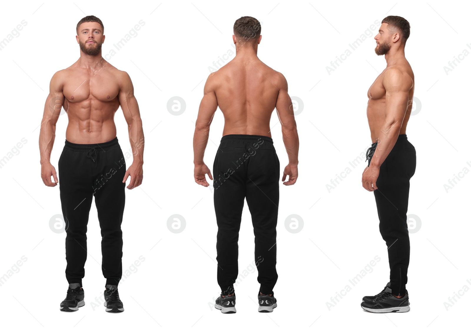 Image of Handsome bodybuilder on white background. Front, side and back photos