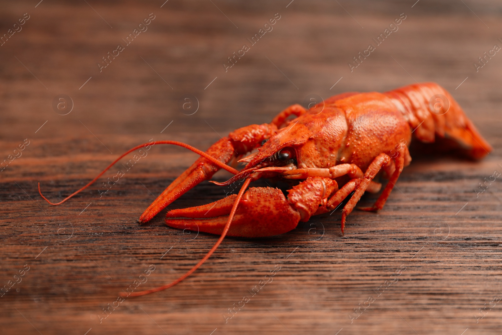 Photo of Delicious boiled crayfish on wooden table, closeup