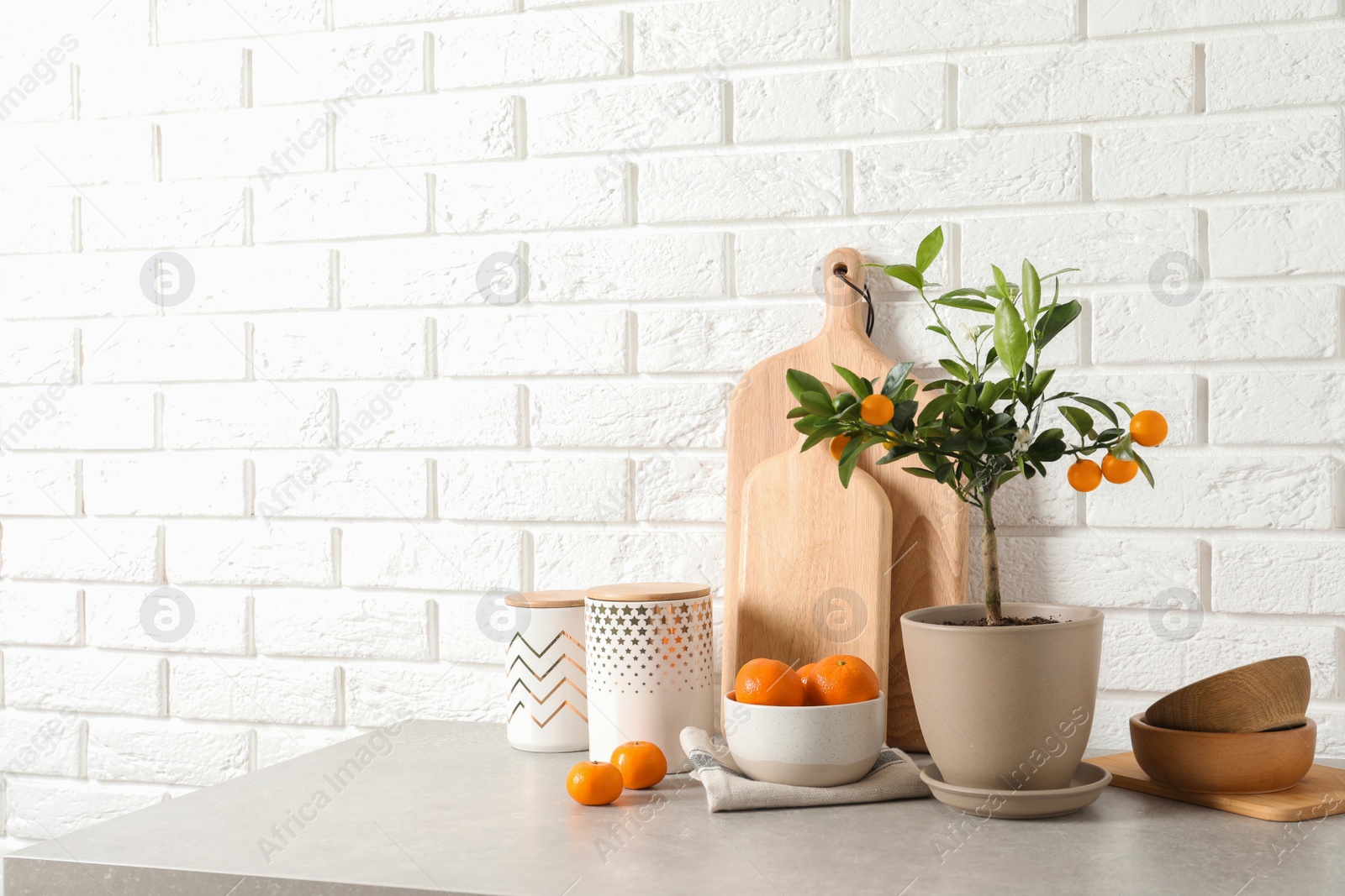 Photo of Composition with potted citrus tree and fruits on table against brick wall. Space for text