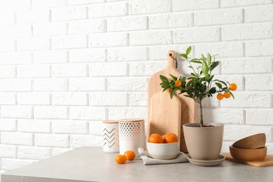 Photo of Composition with potted citrus tree and fruits on table against brick wall. Space for text