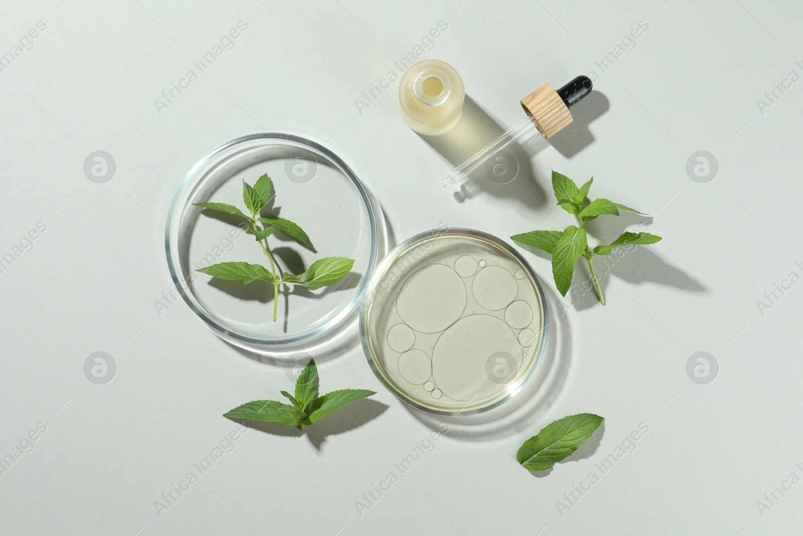 Photo of Flat lay composition with Petri dishes and plants on light grey background