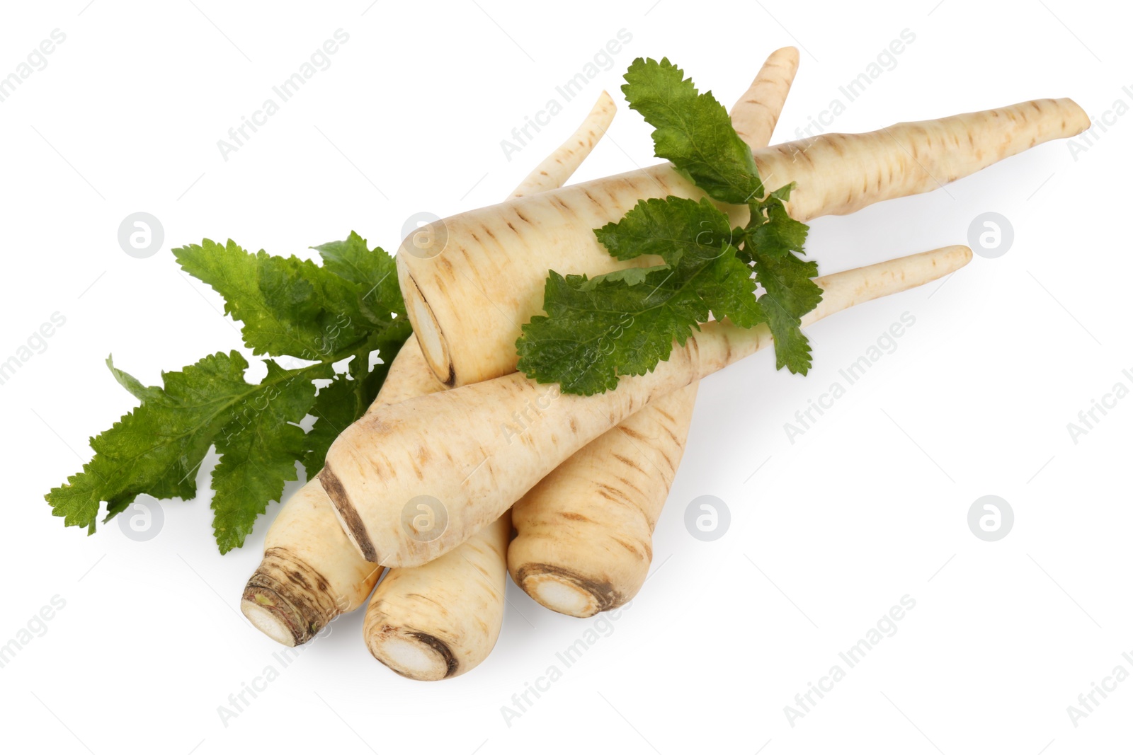 Photo of Tasty fresh ripe parsnips on white background