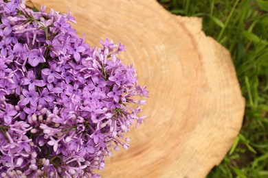 Photo of Beautiful lilac flowers on wooden stump, top view. Space for text