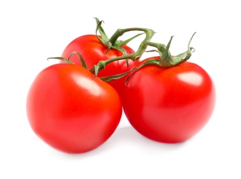 Branch of fresh cherry tomatoes isolated on white