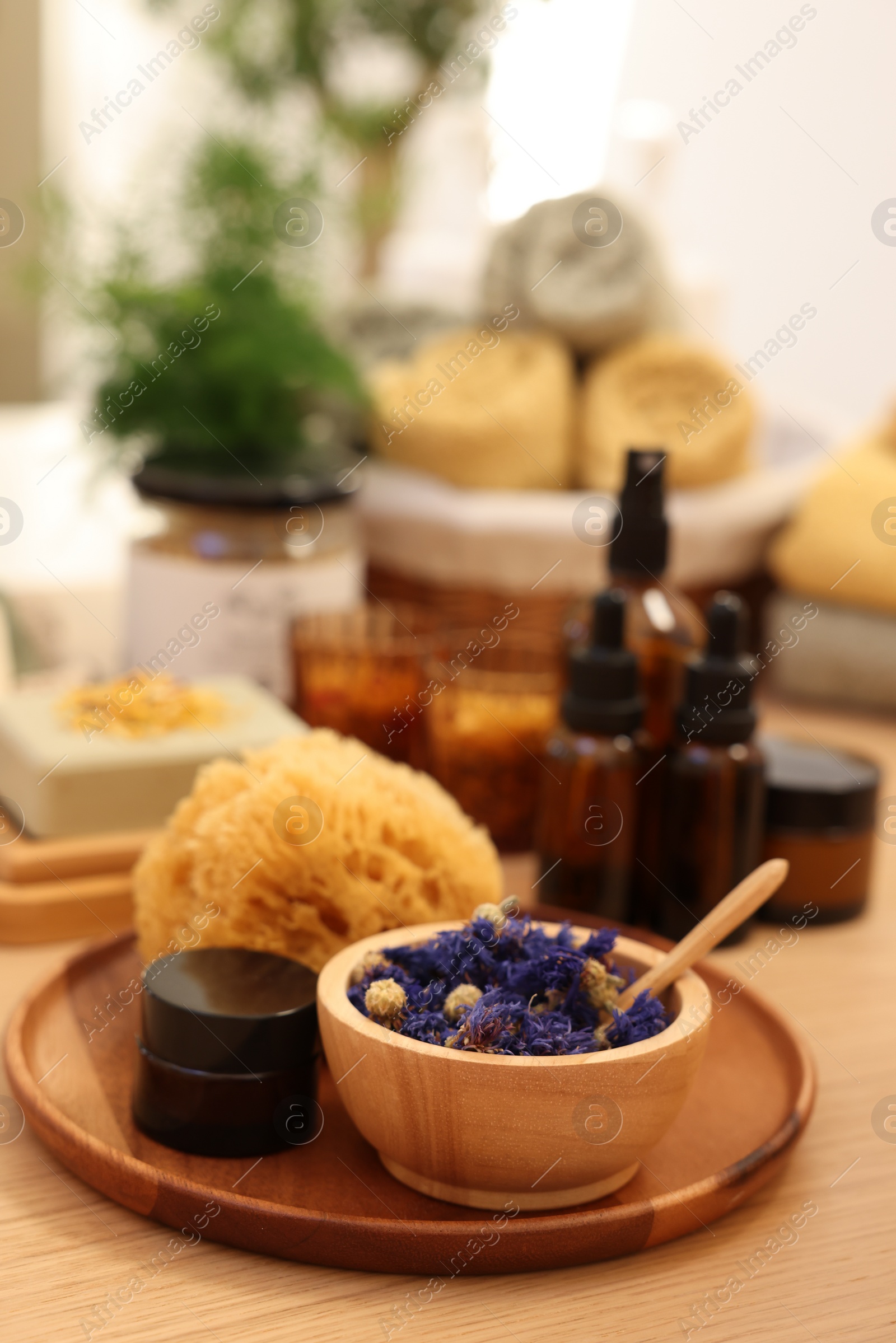 Photo of Dry flowers, loofah and jar of cream on wooden table, space for text. Spa time