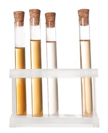 Test tubes with light brown liquids in stand on white background