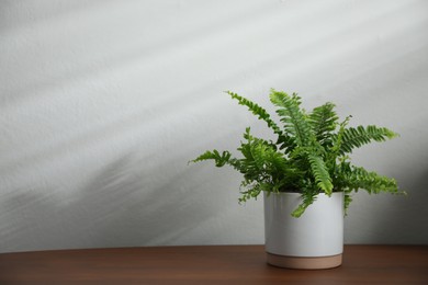 Photo of Beautiful fresh potted fern on wooden table. Space for text