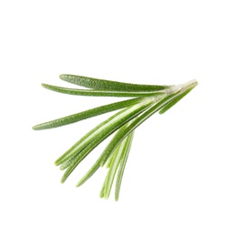 Photo of Fresh green rosemary leaves on white background