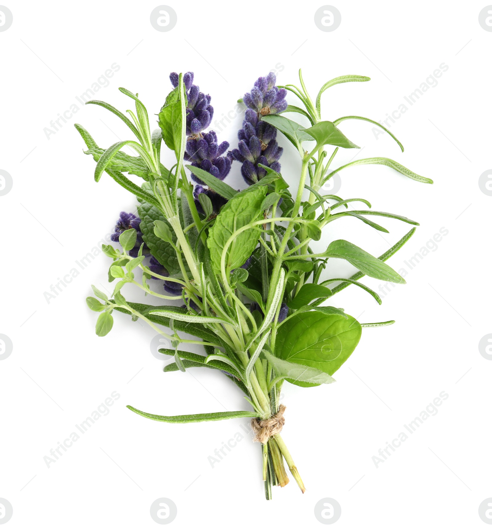 Photo of Bunch of fresh aromatic herbs on white background, top view