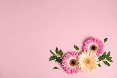 Photo of Flat lay composition with beautiful bright gerbera flowers on color background. Space for text