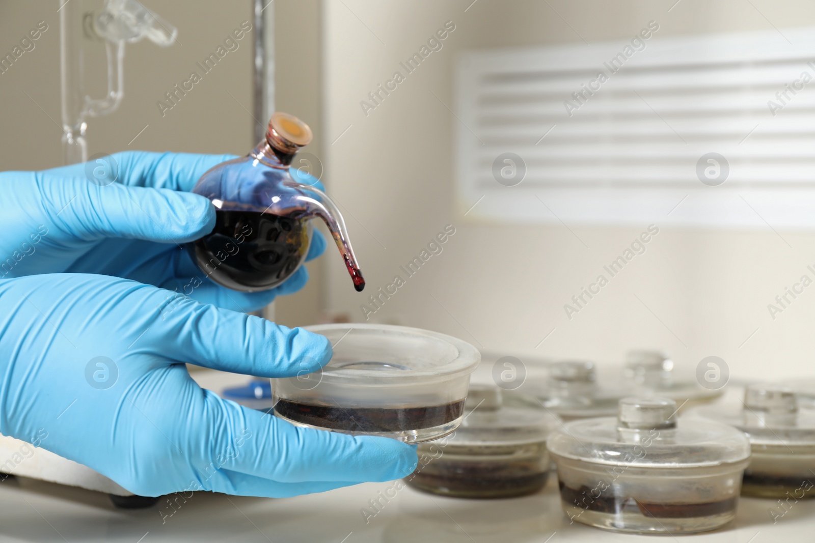 Photo of Scientist doing nitrogen titration of soil sample at table, closeup. Laboratory research