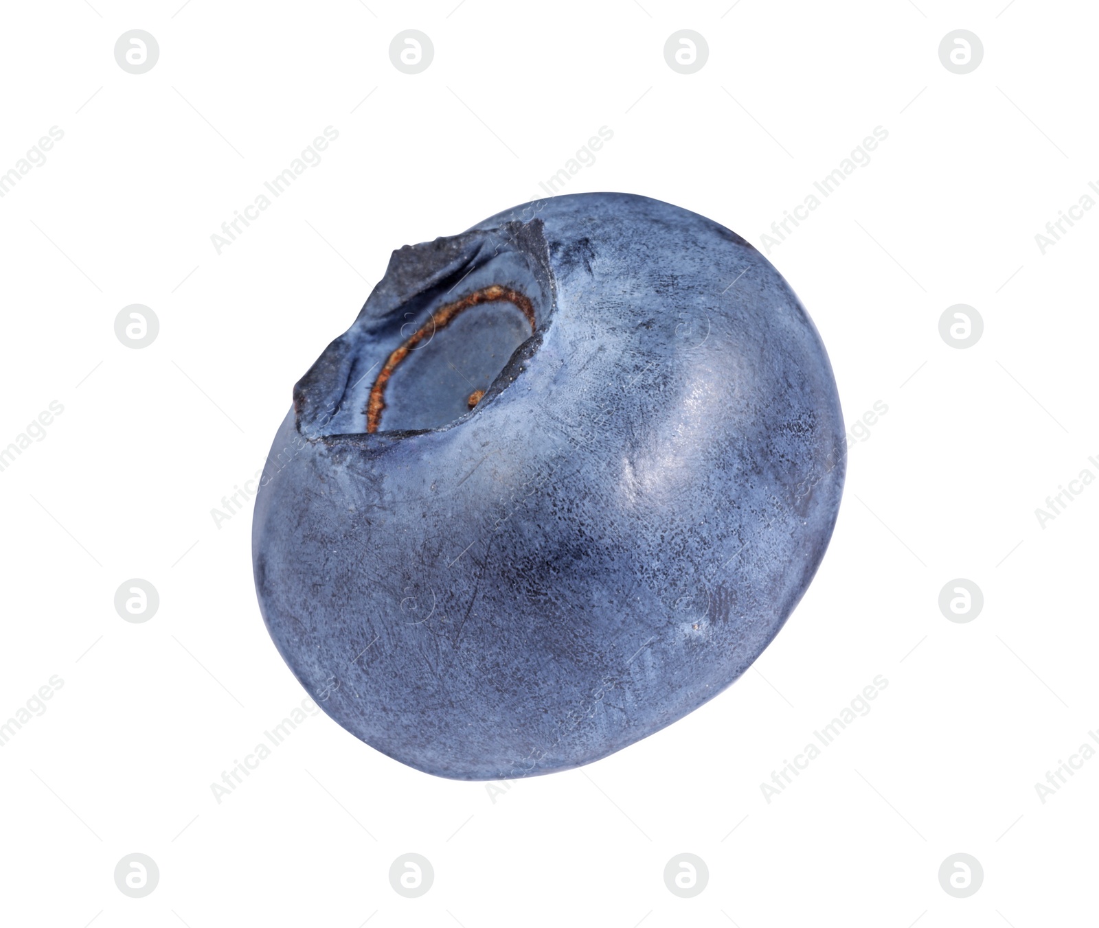 Photo of One fresh ripe blueberry isolated on white