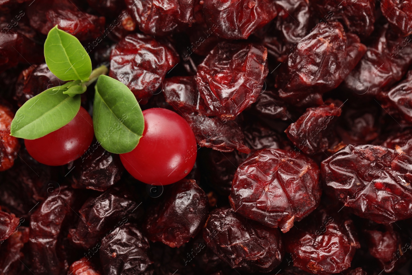 Photo of Tasty fresh and dried cranberries with leaves as background, closeup