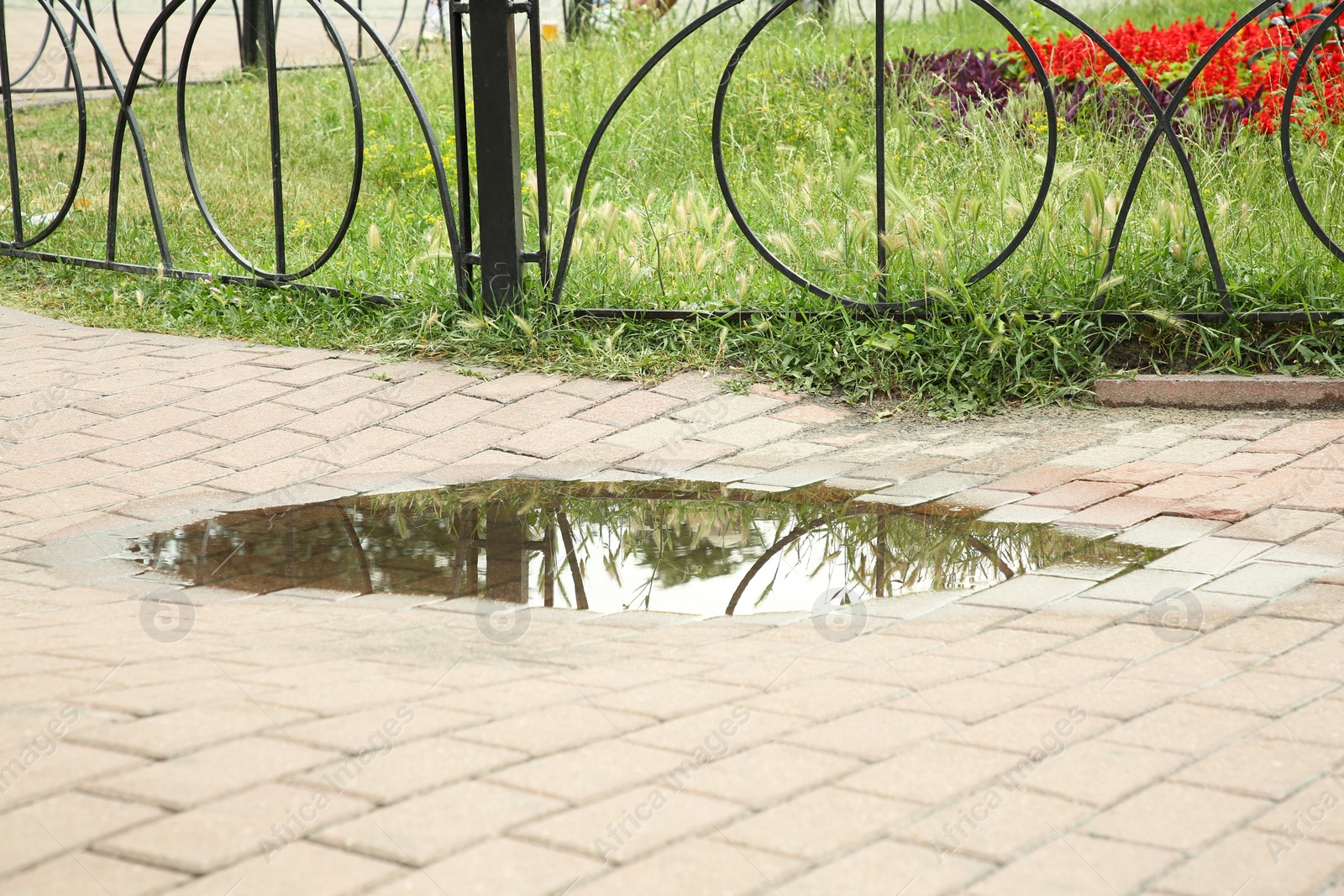 Photo of View of puddle on paving stones outdoors