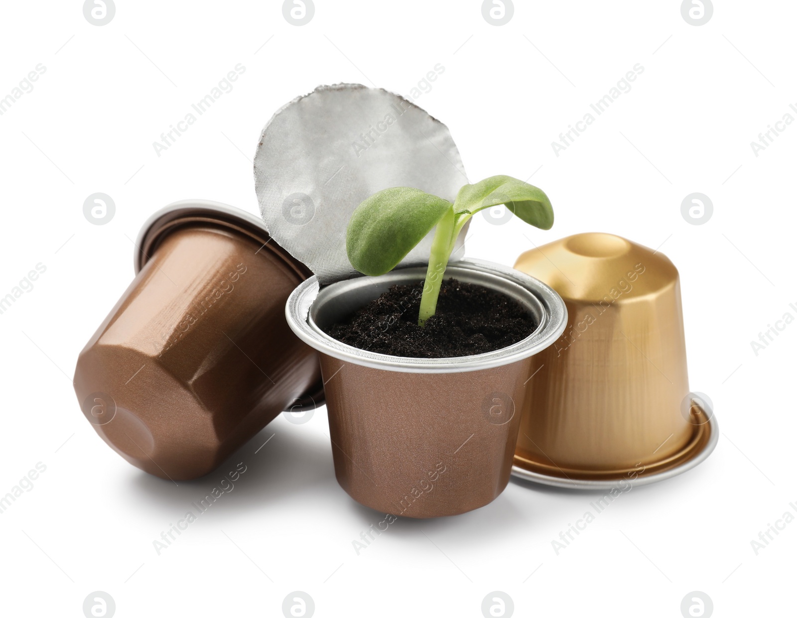 Photo of Green seedling growing in coffee capsule isolated on white