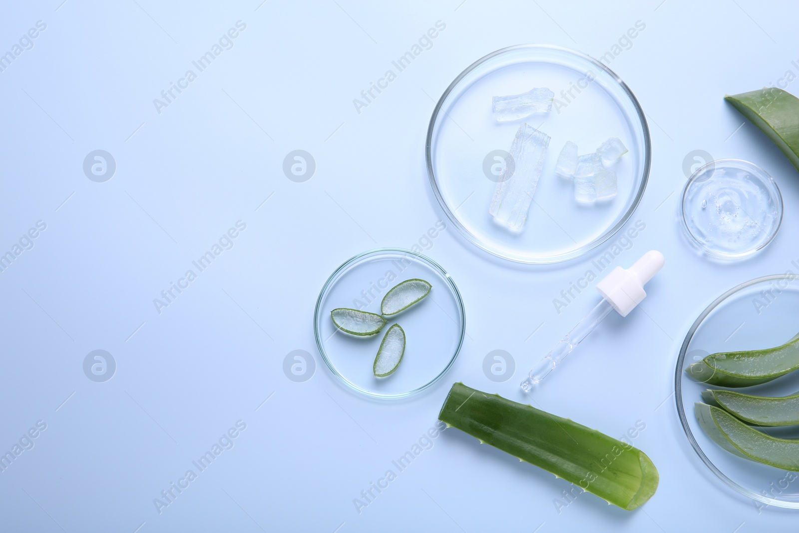 Photo of Flat lay composition with aloe vera leaves and cosmetic gel on light blue background. Space for text