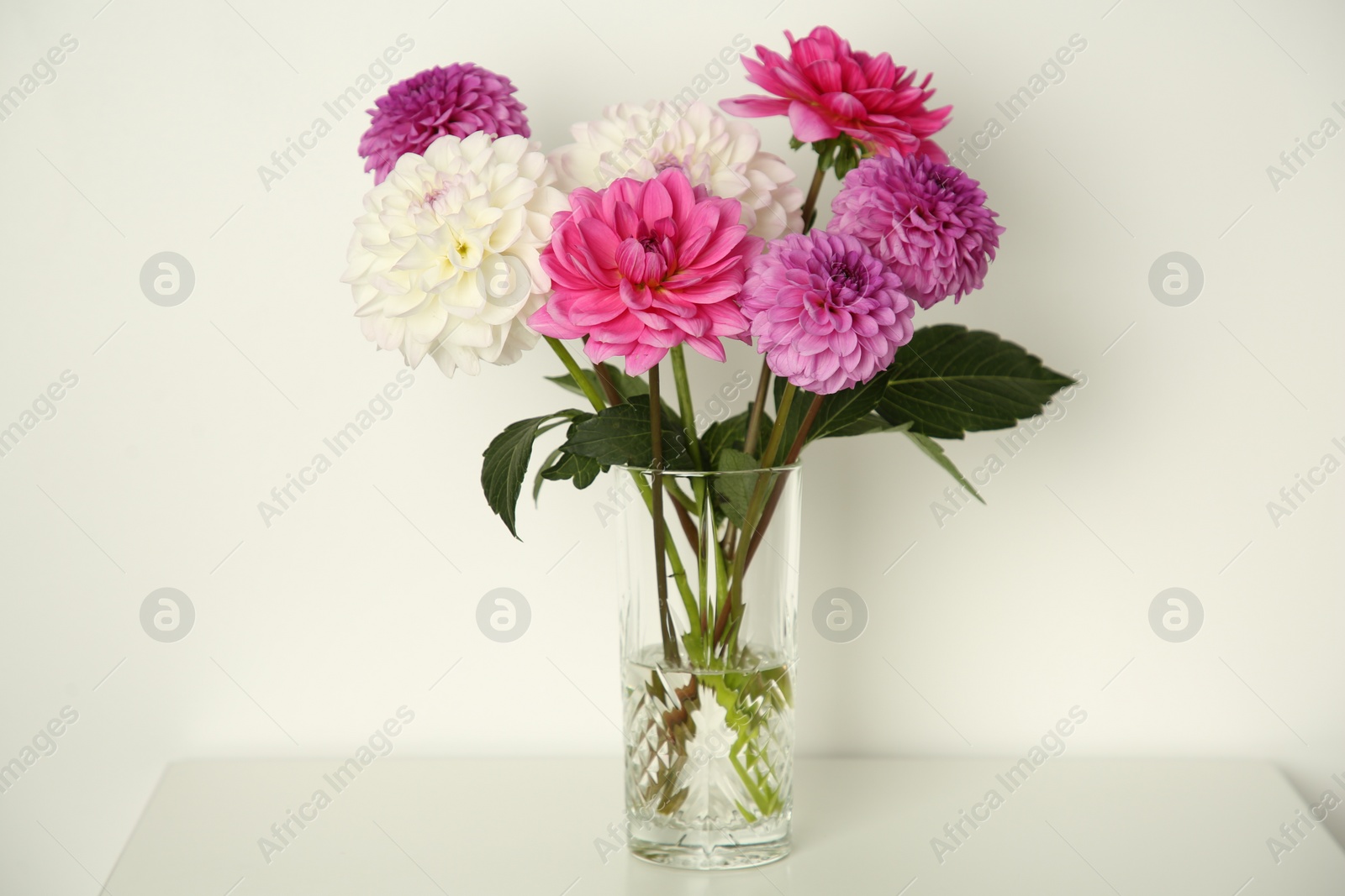 Photo of Bouquet of beautiful Dahlia flowers in vase on table near white wall