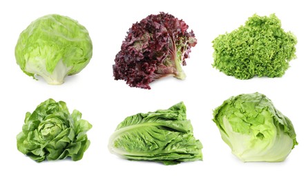 Image of Different types of lettuce isolated on white, collage design