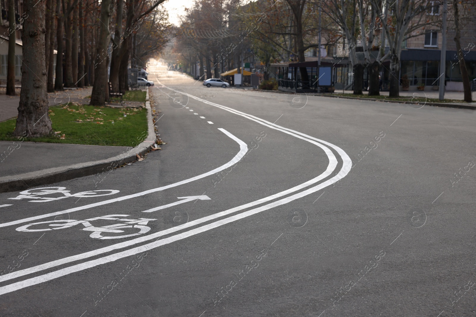 Photo of Two way bicycle lane with white signs on asphalt