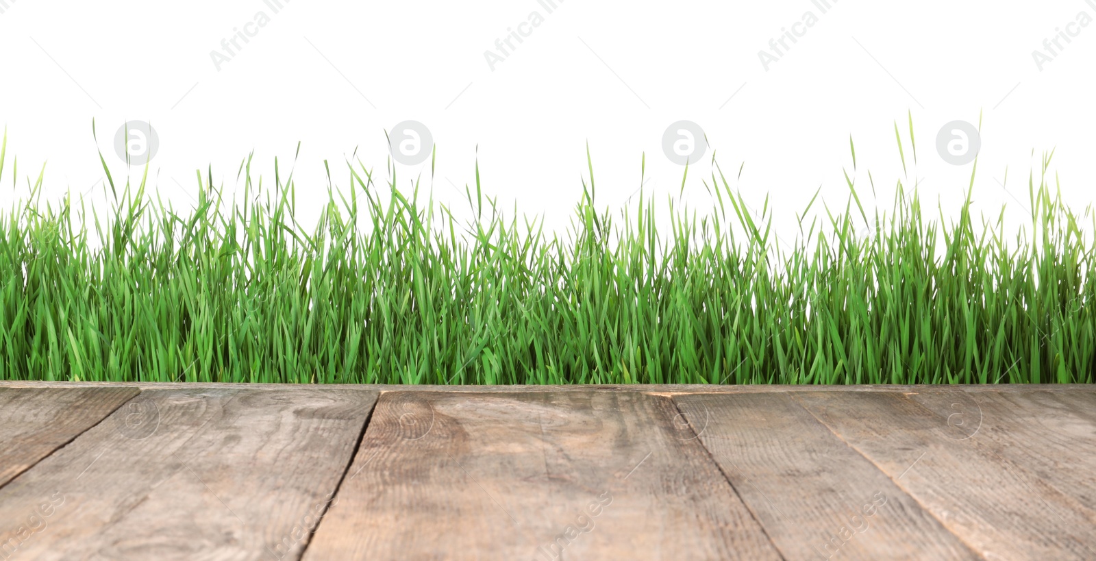 Photo of Wooden deck and green grass isolated on white