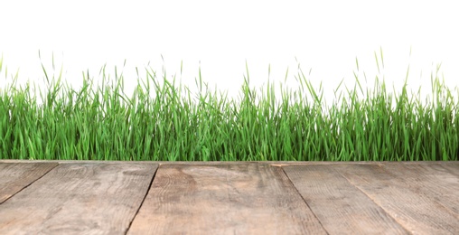 Wooden deck and green grass isolated on white