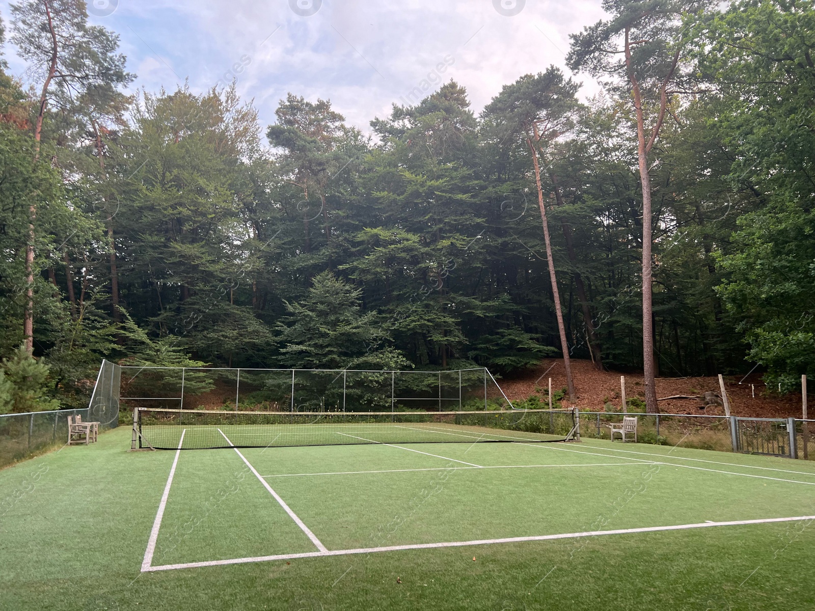 Photo of Tennis court with green grass and net outdoors