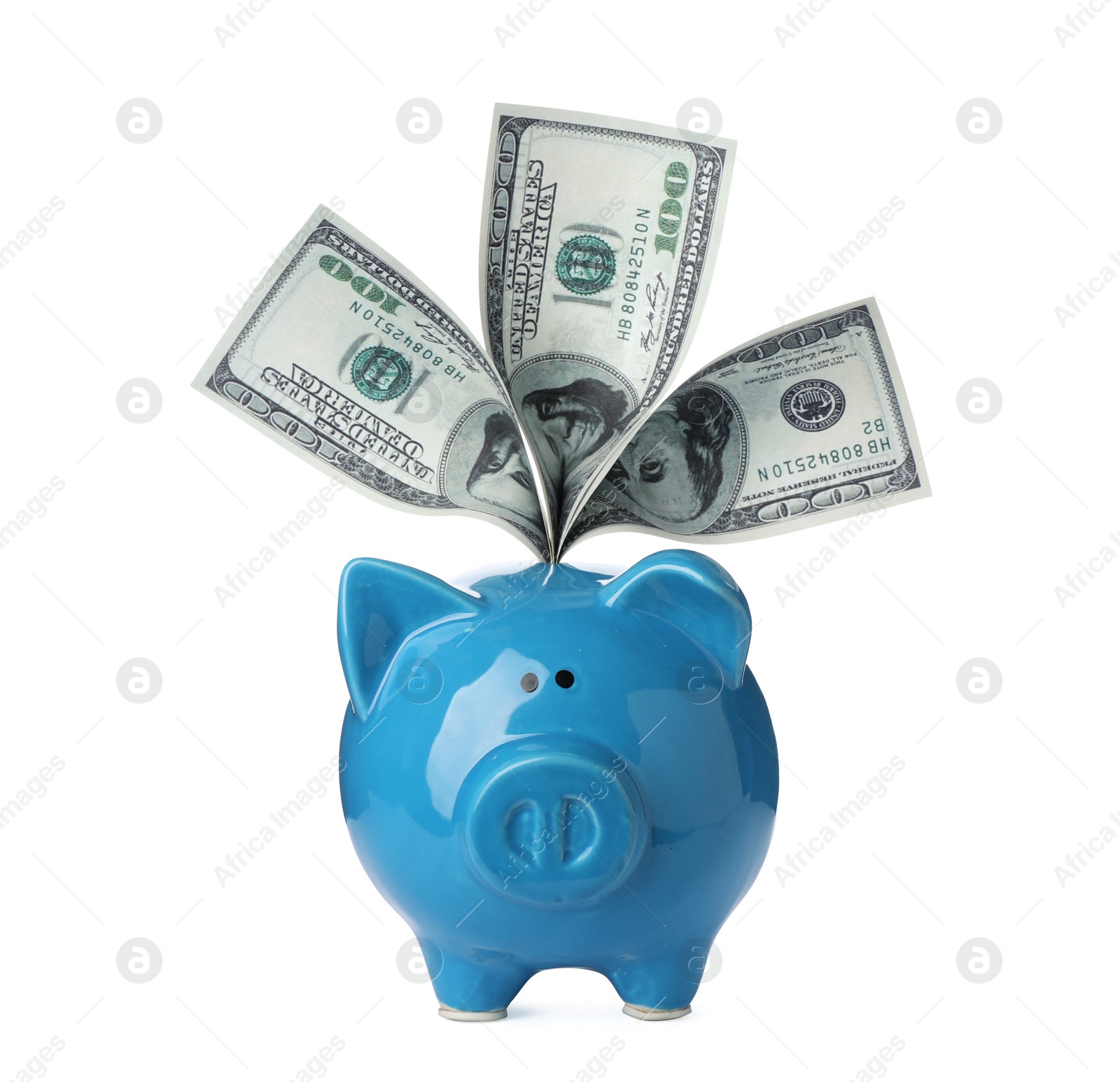 Photo of Piggy bank with money bills isolated on white