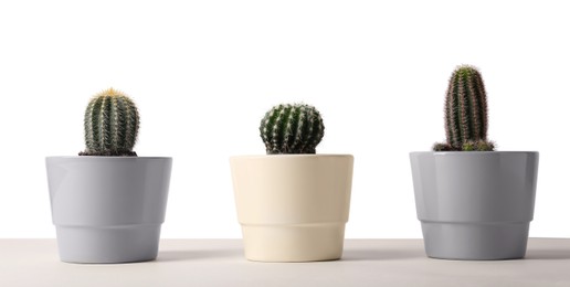 Photo of Different cacti in pots on beige table