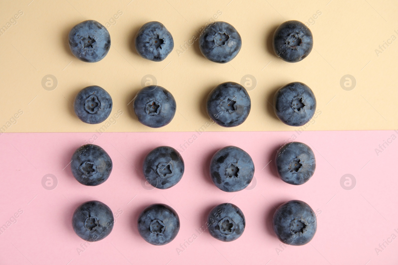 Photo of Flat lay composition with tasty blueberry on color background