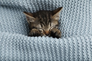 Photo of Cute little kitten sleeping wrapped in light blue knitted blanket, top view