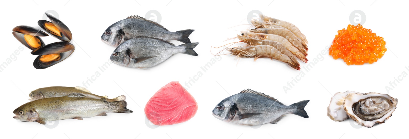 Image of Dorado fish and other seafood isolated on white, set