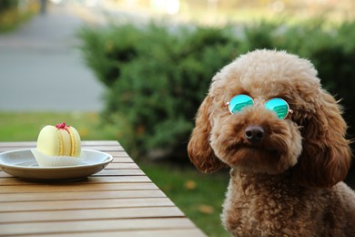 Cute fluffy dog with sunglasses at table in outdoor cafe