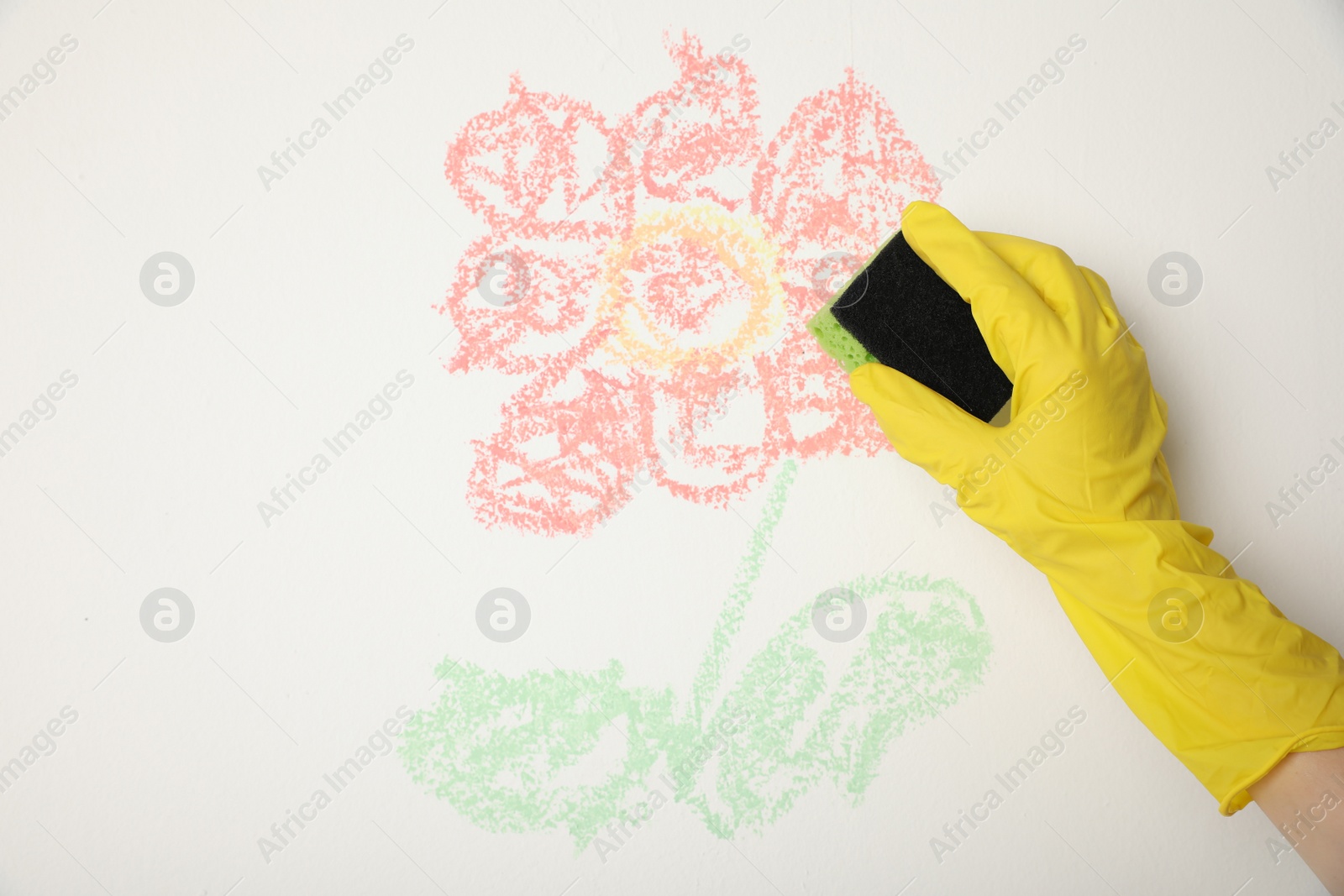 Photo of Woman erasing child's drawing from white wall, closeup