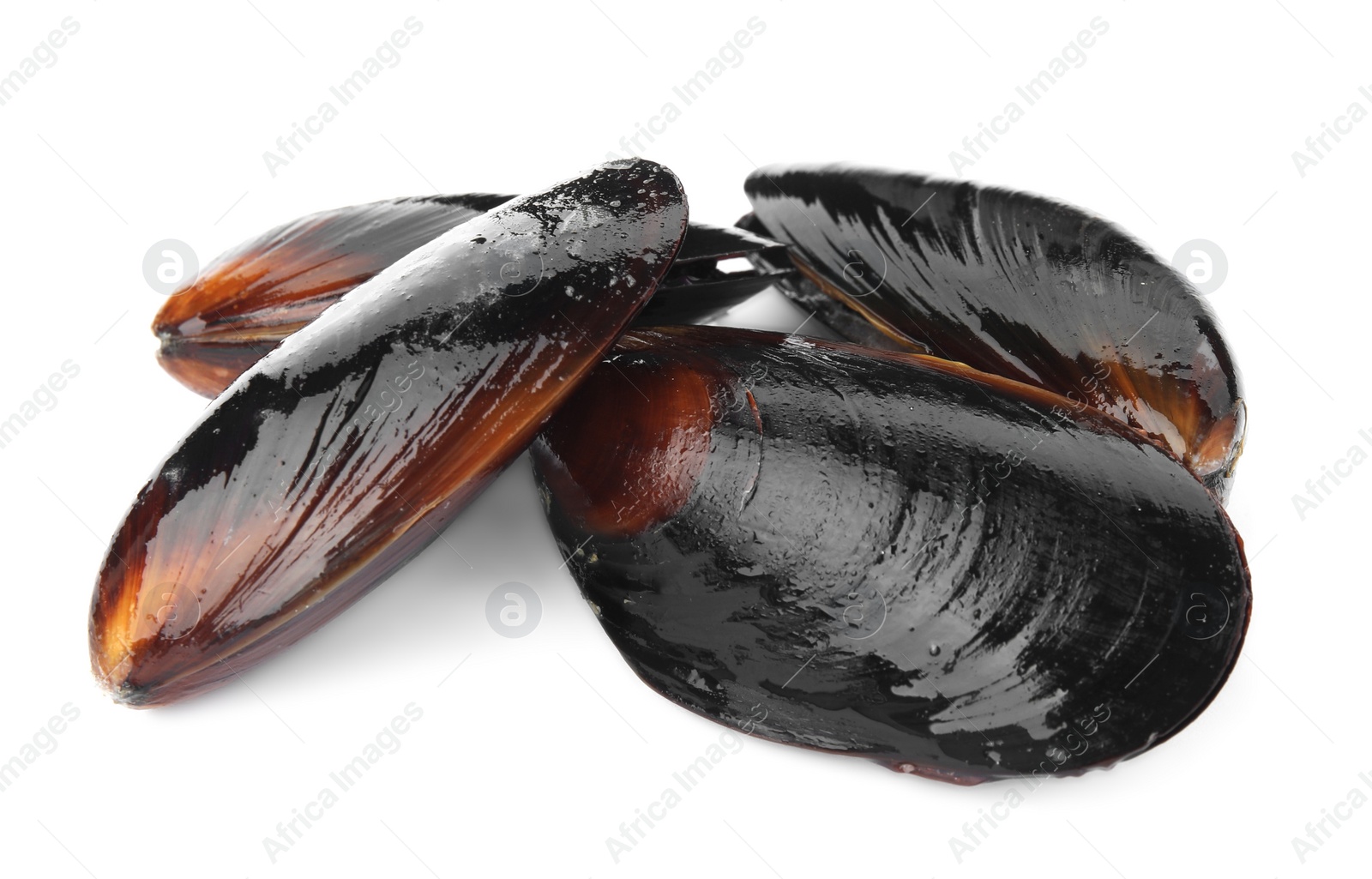 Photo of Heap of raw mussels in shells on white background