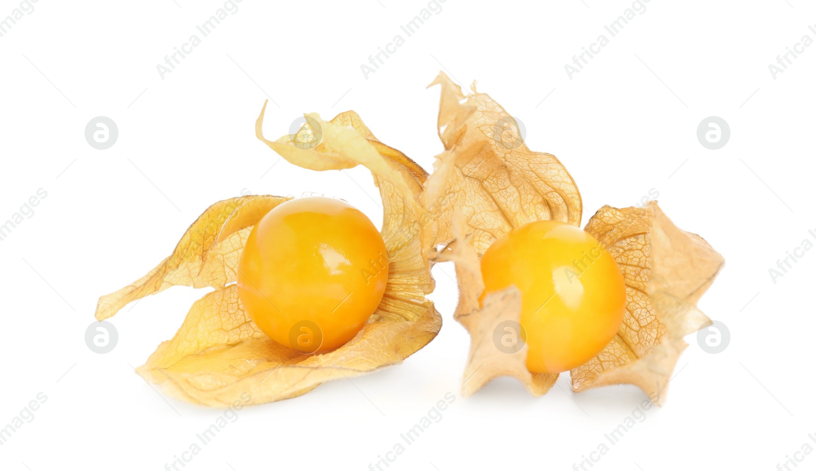 Photo of Ripe physalis fruits with dry husk on white background