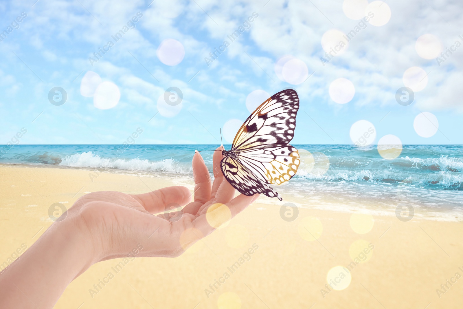 Image of Woman holding beautiful rice paper butterfly on sandy beach, closeup. Bokeh effect 