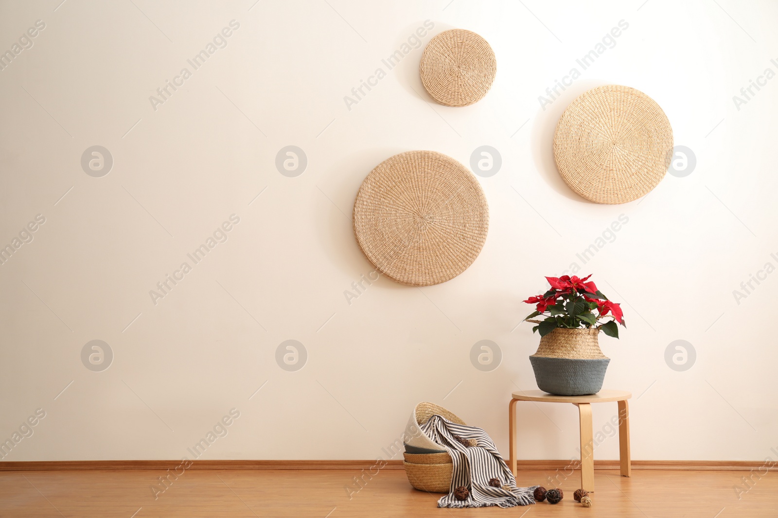 Photo of Beautiful poinsettia in wicker pot near white wall indoors. Interior design idea