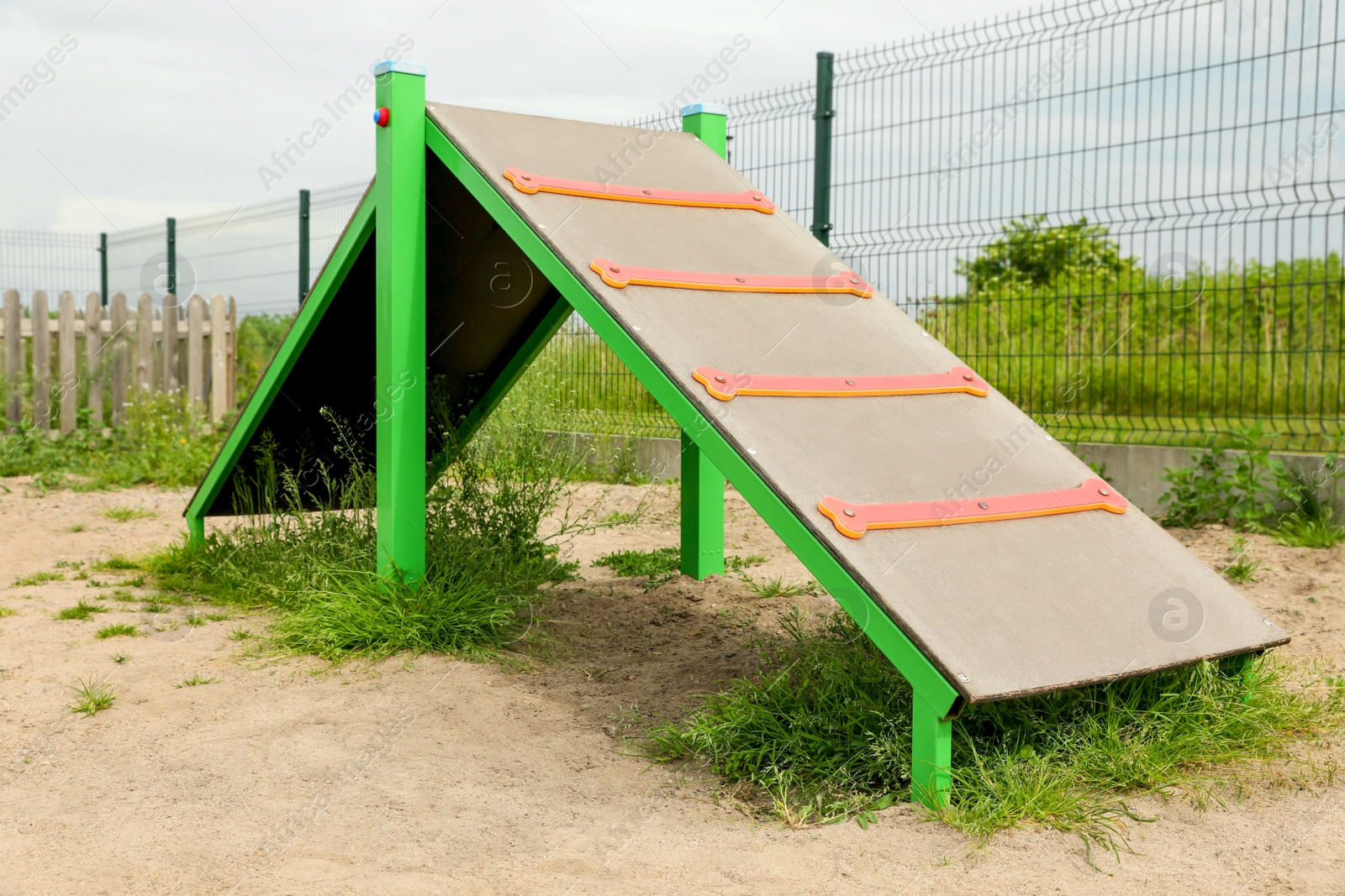 Photo of King of hill on animal training area outdoors