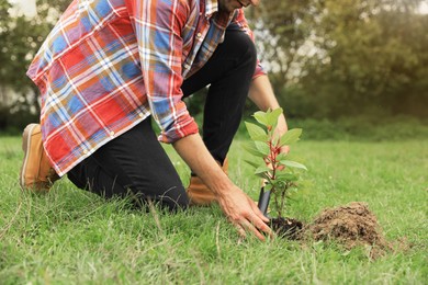 Man planting young green tree in garden, closeup