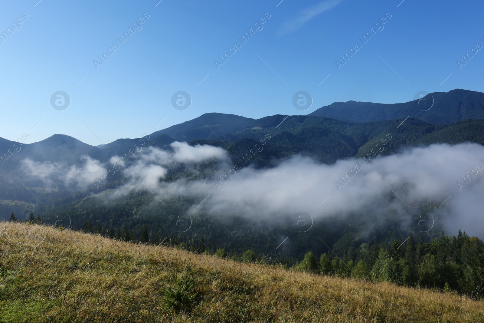 Photo of Picturesque view of mountains covered with fog