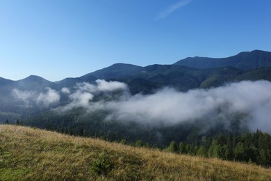 Photo of Picturesque view of mountains covered with fog