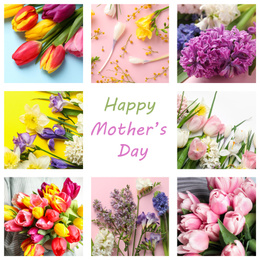 Image of Collage with photos of beautiful flowers and text Happy Mother's Day