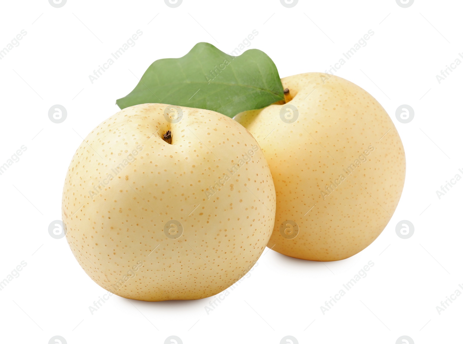 Photo of Delicious fresh apple pears isolated on white