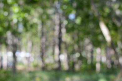 Park with trees on sunny day, blurred view. Bokeh effect