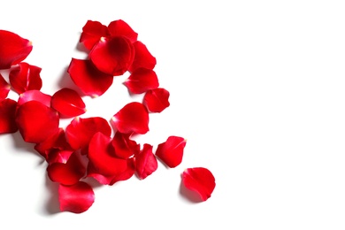 Red rose petals on white background, top view