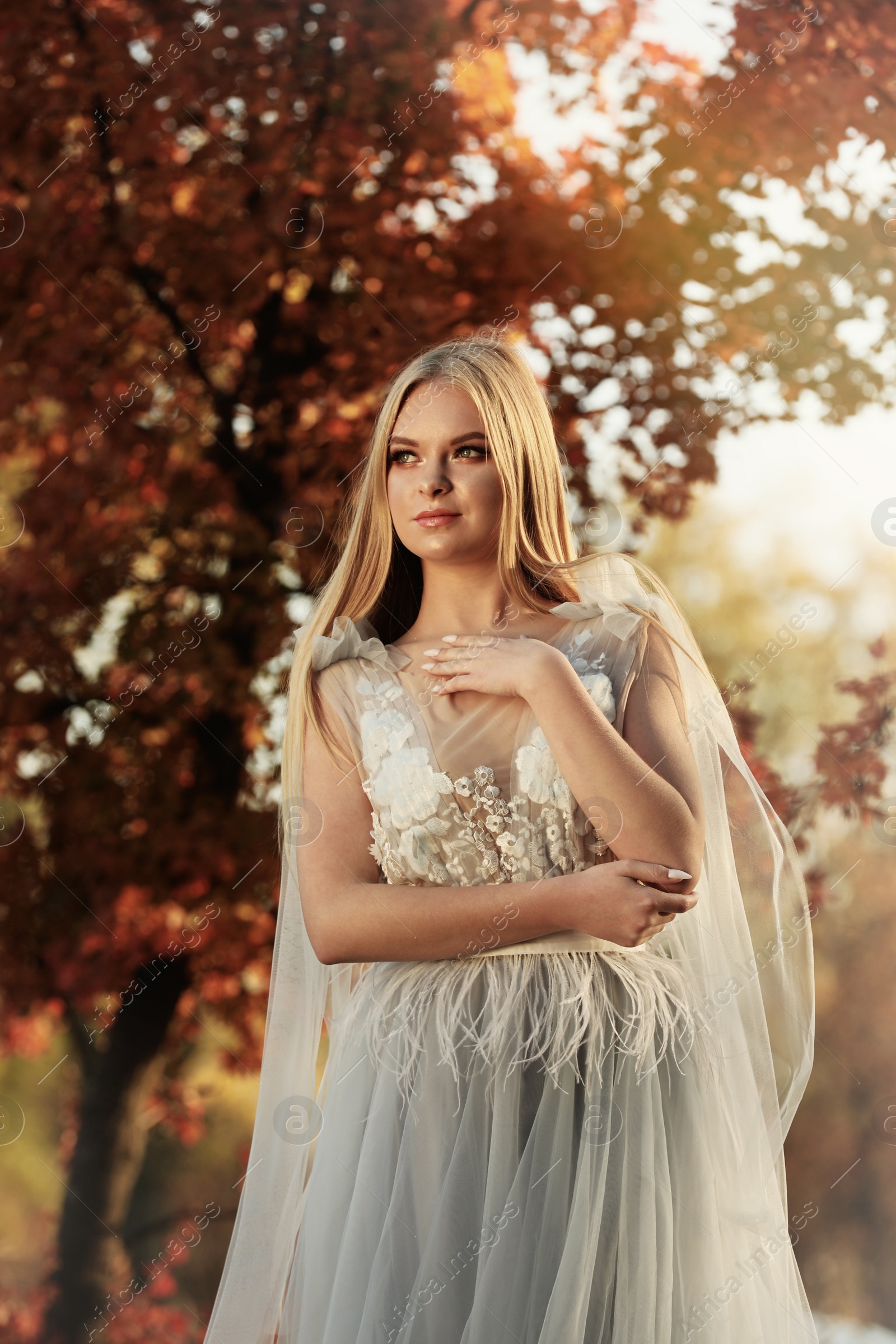 Photo of Beautiful girl wearing fairy dress in autumn forest