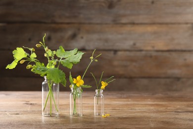 Celandine flowers in glass bottles on wooden table, space for text